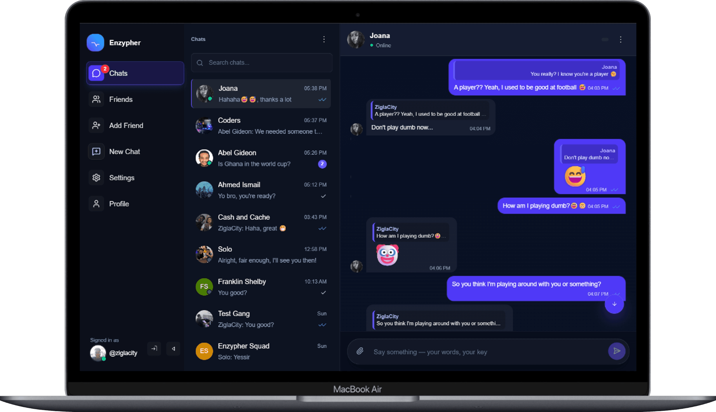 Enzypher desktop chat interface